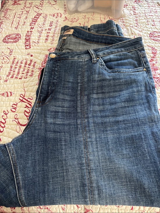 Kut from the Kloth Denim - Kut from Kloth Size 22W Women’s Stevie Jeans with front seam detail in mid-blue